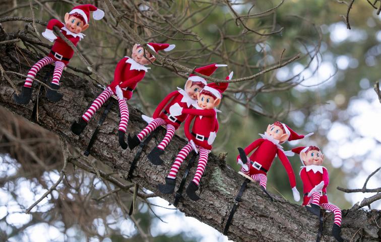 Elf Tree