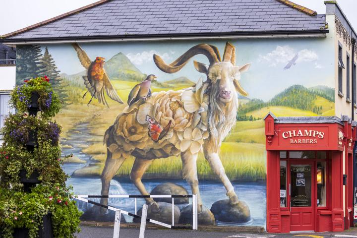 Shankill DLR Anseo Street Art