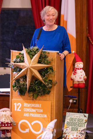 Recycled Christmas Decoration Competition 2024