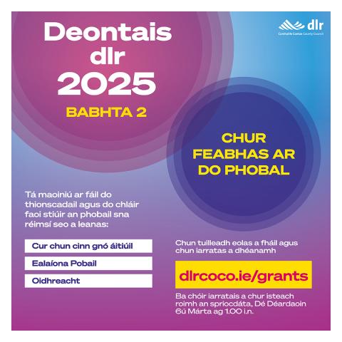 dlr Grants Round 2, 2025 Irish