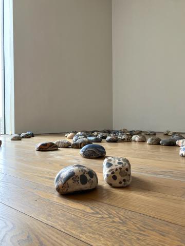 Photo of what look like many smooth rocks sitting on a wooden floor.