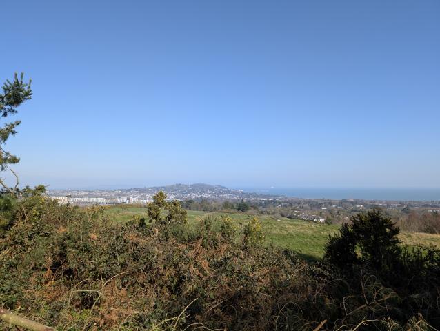 Dublin Views from Rathmichael Woods