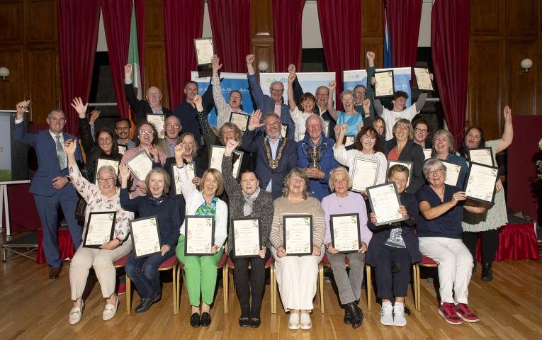 dlr Tidy Districts Winner 2025