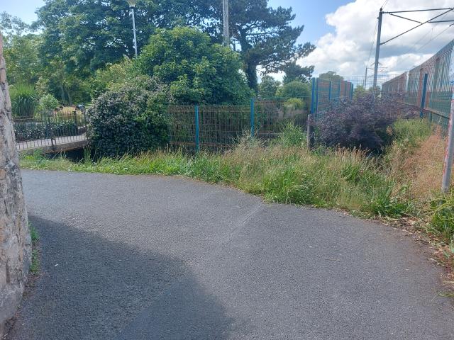 Blackrock Dart to Park 4