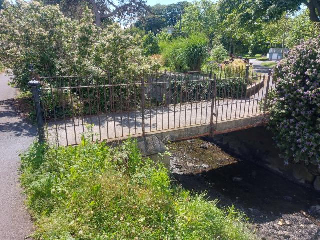 Blackrock Dart to Park 1