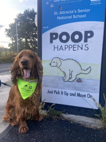 Alfie the Cocker spaniel wearing the Green Dog Walker hi vis bandana posing beside a big belly bin with the phrase "poop happens" on it.