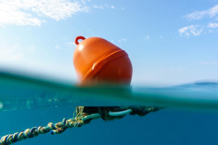 Swimming Marker Buoys