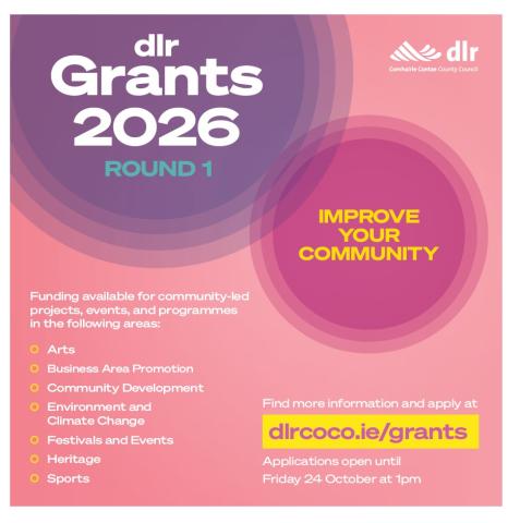 DLR Grants 2026