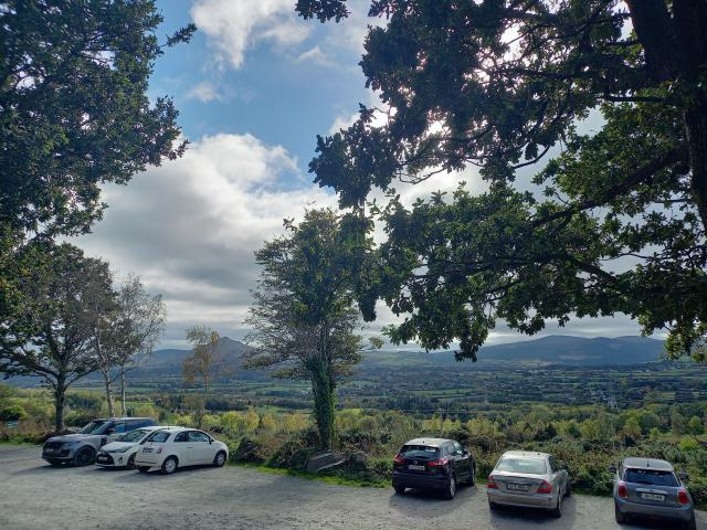 Enjoying mushroom foraging in the Dublin Mountains