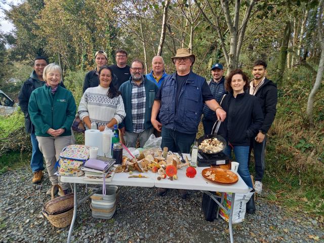 Enjoying the Mushroom Foraging Event in the Dublin Mountains
