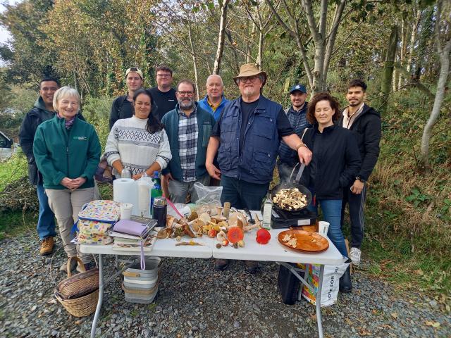 Enjoying mushroom foraging in the Dublin Mountains