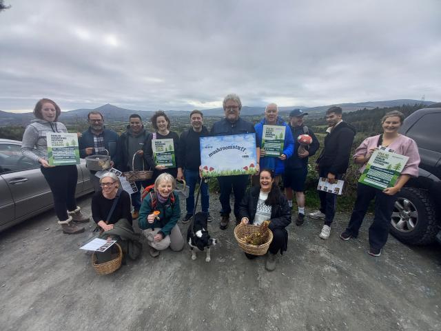Enjoying mushroom foraging in the Dublin Mountains