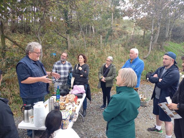 Enjoying mushroom foraging in the Dublin Mountains