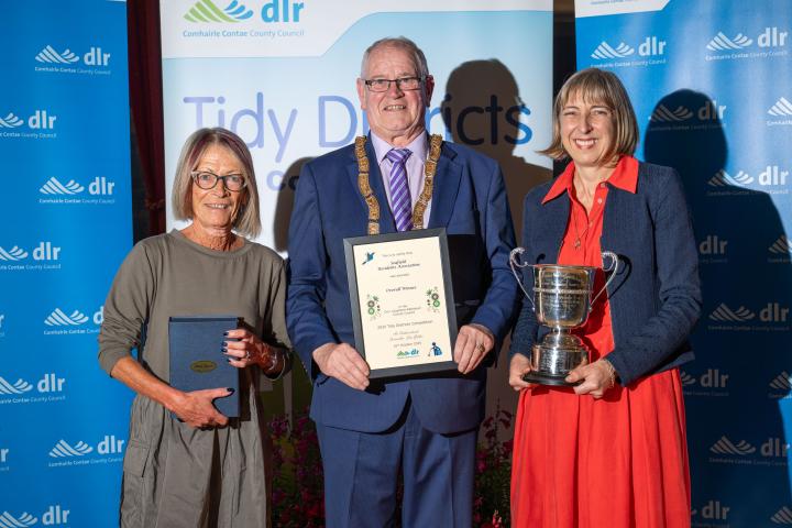 Tidy Districts Awards 2025