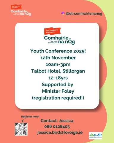 dlr Comhairle na nÓg Annual Youth Conference Poster