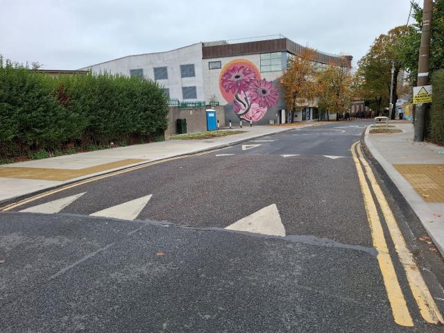 Living Streets Dun Laoghaire Road works