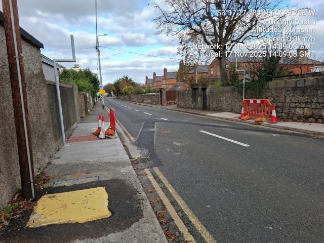 Living Streets Dun Laoghaire Road works