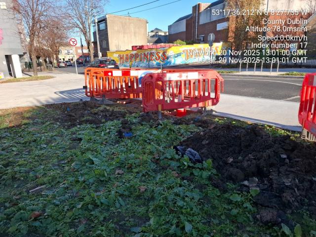 Living Streets Dun Laoghaire Road works