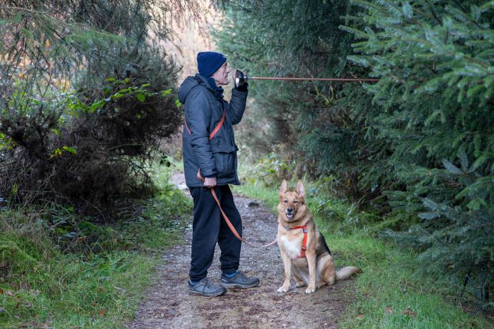 A man is standing side on to the camera on a track in a conifer forest. He is wearing navy raingear and a hat, One hand is holding a device attached to a string that he is speaking into. The other holds the lead of a German Shepard dog who is looking at the camera