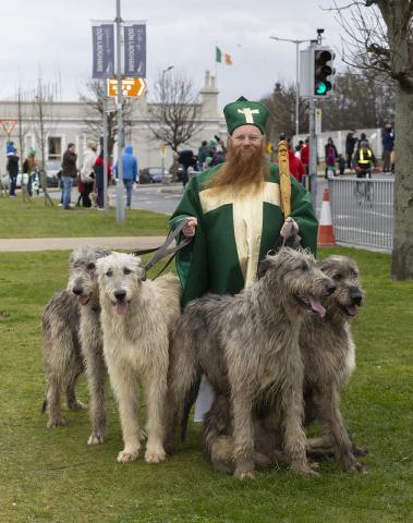 St Patrick with Irish Wolfhounds.