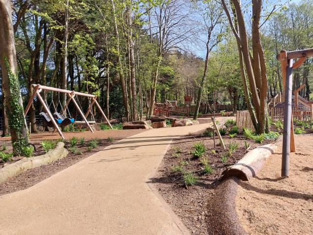 Fernhill Play Space swings