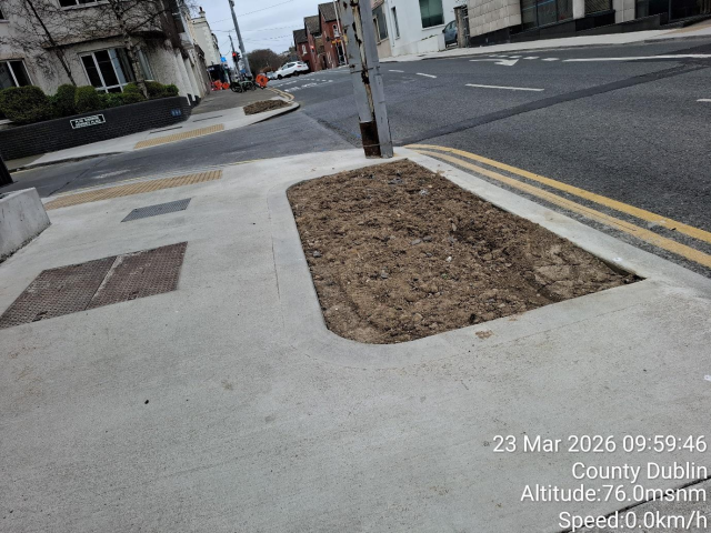 Sidewalk with a "No Parking" sign, indicating a restricted parking area.