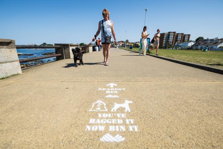 A woman walking her dog at Sandycove