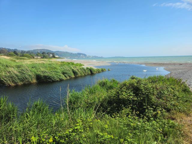 Shanganagh River