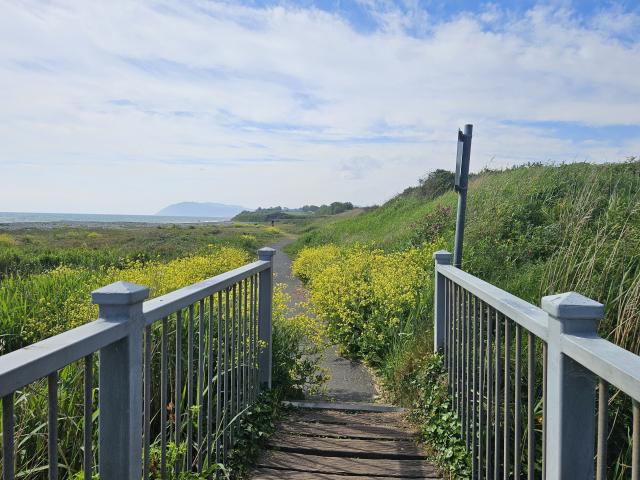 Shanganagh Park