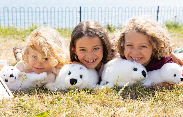 Seal Rescue Ireland