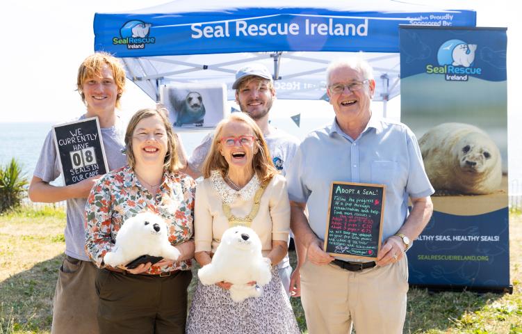 Seal rescue Ireland