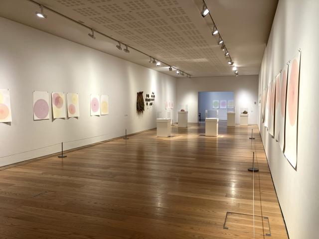 A long gallery room with a wooden floor and white walls. large pieces of paper are hung on the wall either side.