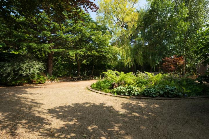Peoples Park Greenary