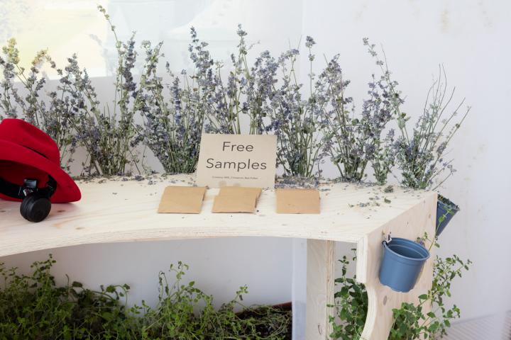 Image of catmint cuttings and a red hat with headphones attached