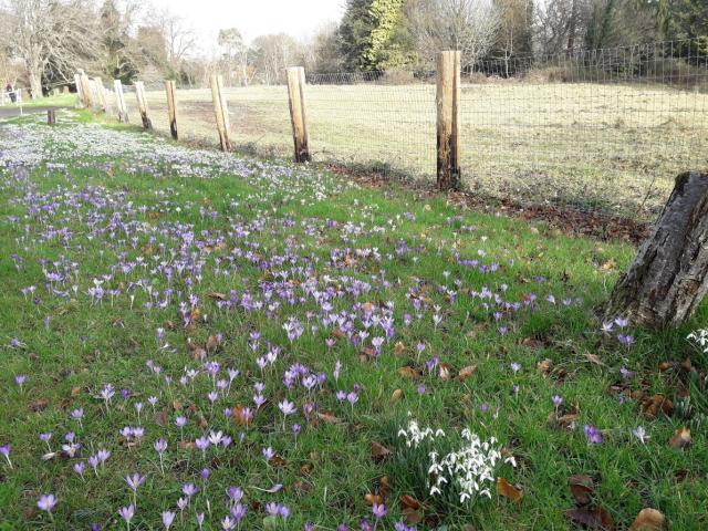 Fernhill Park and Gardens Fernhill Park and Gardens