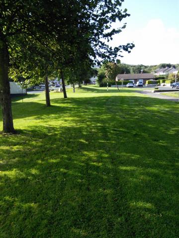 Green area with trees