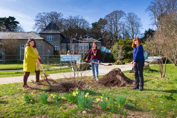 Tree Week 2021 - Planting in Fernhill