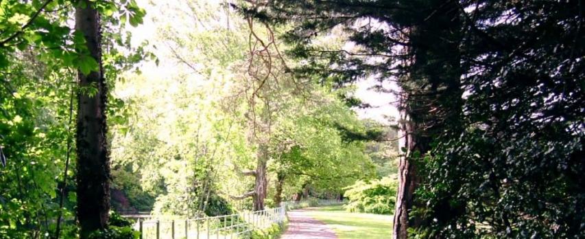 Biodiversity Walk - 27.04