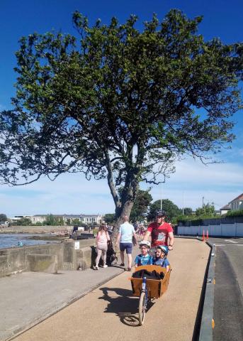 Mies van der Rohe 2022 (III)