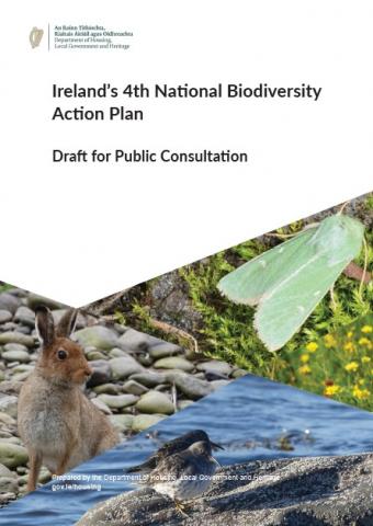 Public Consultation on Ireland’s 4th National Biodiversity Action Plan Public Consultation on Ireland’s 4th National Biodiversity Action Plan
