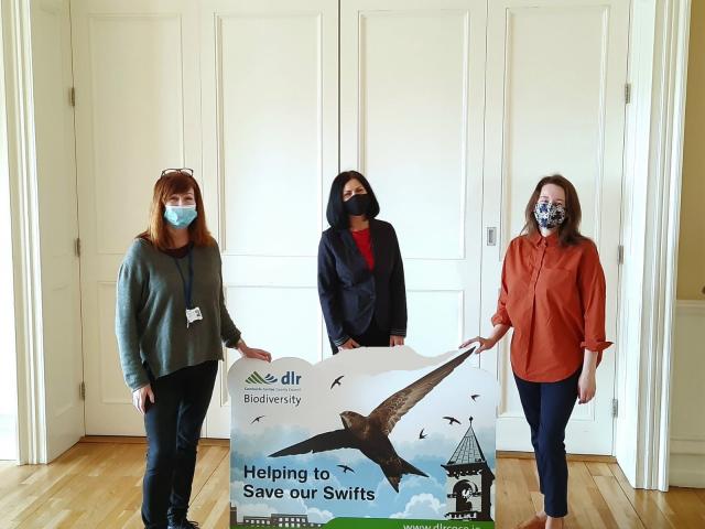 Save Our Swifts
