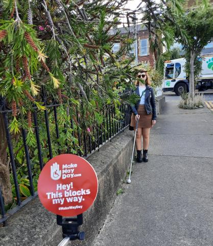 Council requests dlr householders to cut back hedges to ensure road and footpath safety