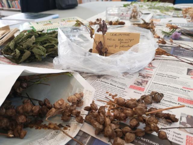 Cabinteely Community Seed Ark Cabinteely Community Seed Ark