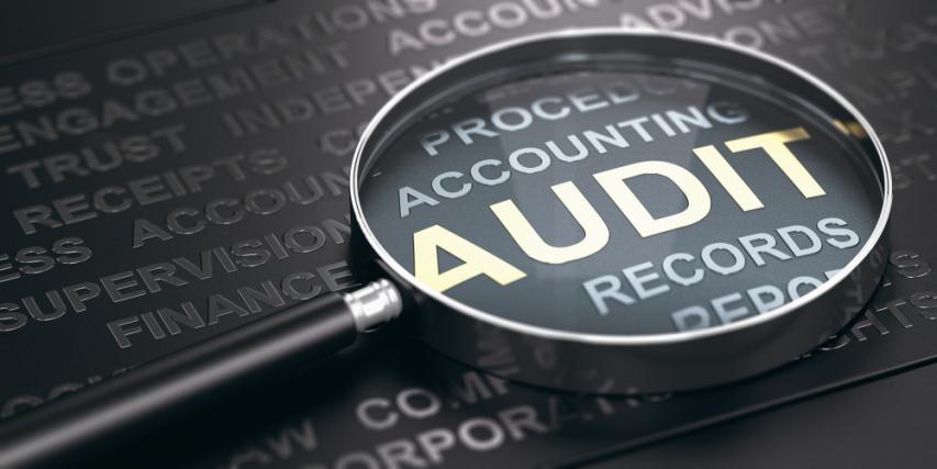 Annual Audit 2021 Annual Audit 2021