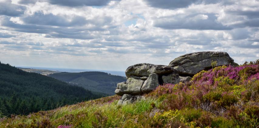 Dublin Mountains Community Archaeologist
