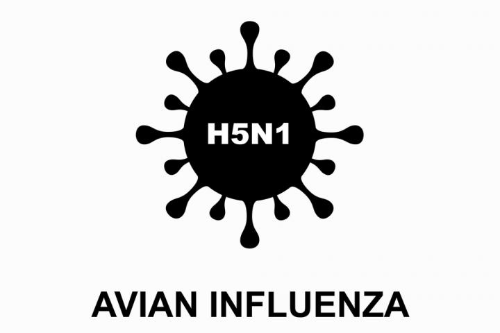 Avian Influenza/Bird Flu - Notice