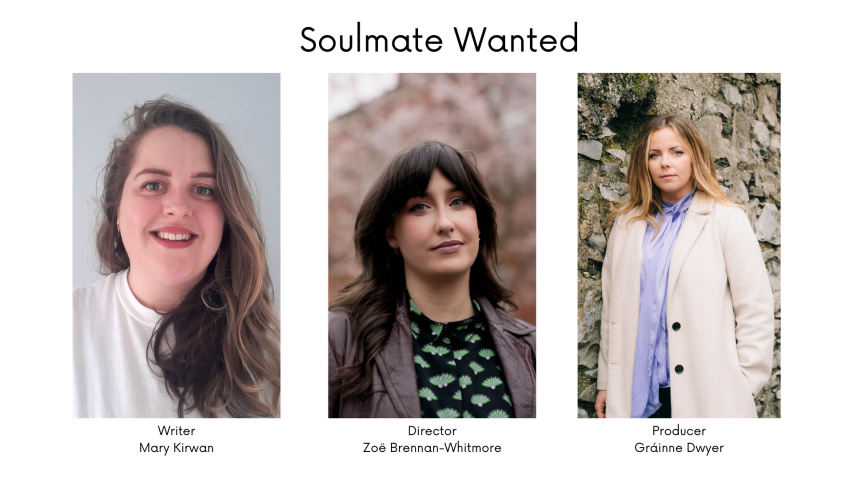 Soulmate Wanted