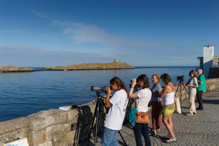 Dalkey Island Photographers